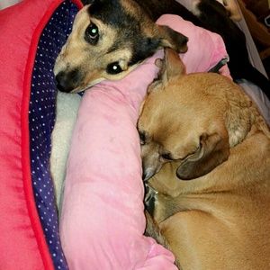 Meet your Posher, Candace